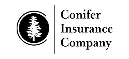 conifer